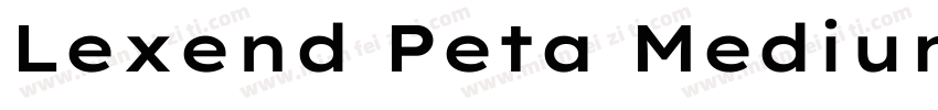 Lexend Peta Medium字体转换